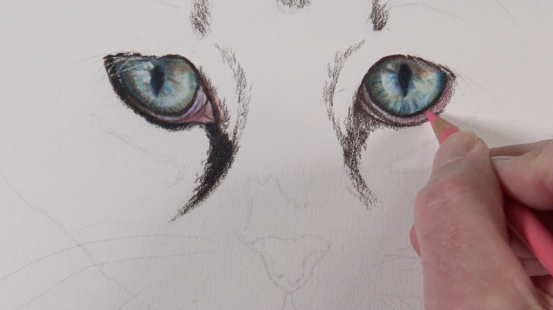 Drawing the areas around the eyes