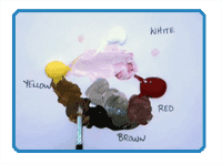 Free Painting Lessons-How to Mix Skin Tones