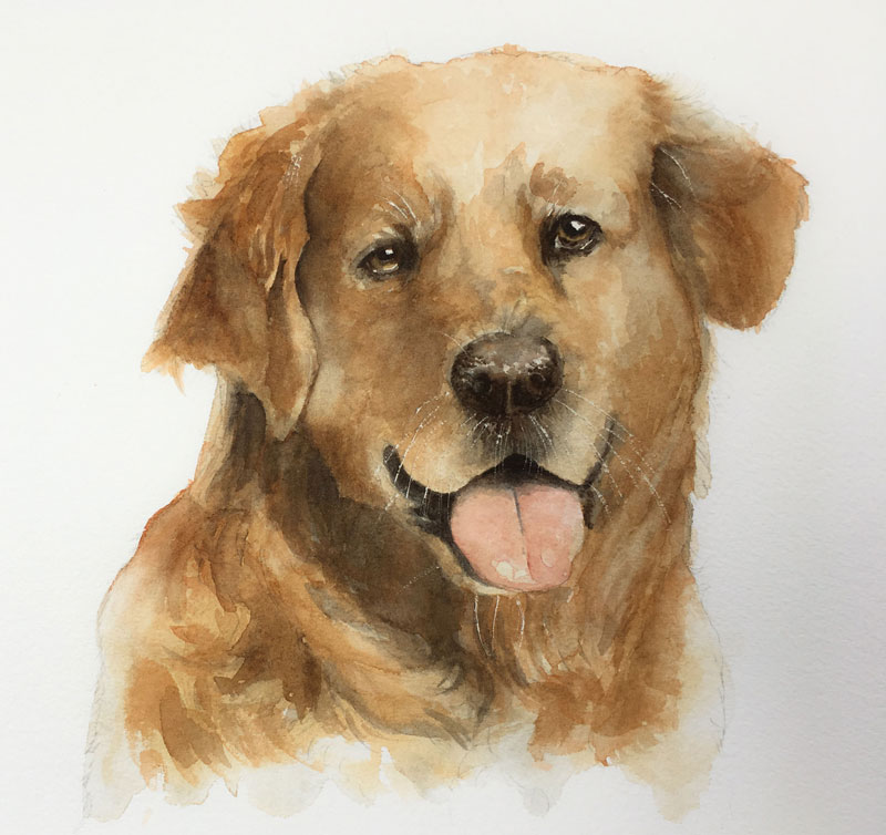 How to paint a dog with watercolor